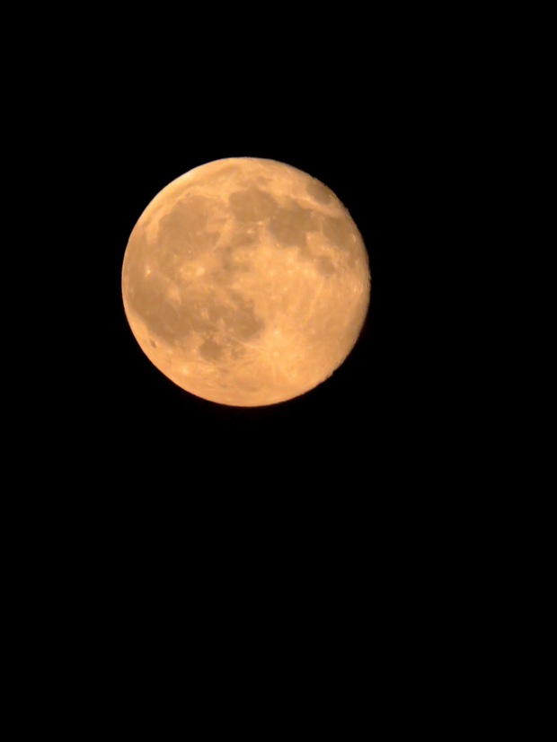 Full Moon in Black and Gold