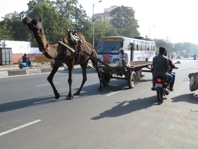 Public Transportation - Jaipur India
