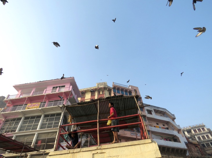 Kites Near the River Ganges - Varanasi India