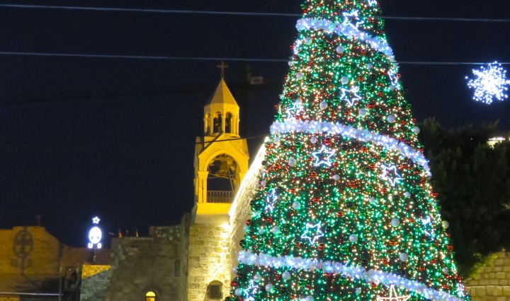 Bethlehem Christmas Tree and Church of the Nativity - by Anika Mikkelson - Miss Maps - www.MissMaps.com