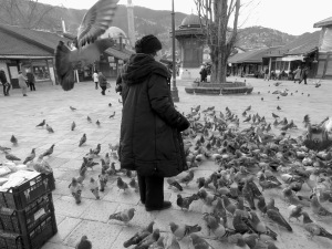 Bird Lady - Sarajevo, Bosnia and Herzegovina BiH - by Anika Mikkelson - Miss Maps - www.MissMaps.com copy