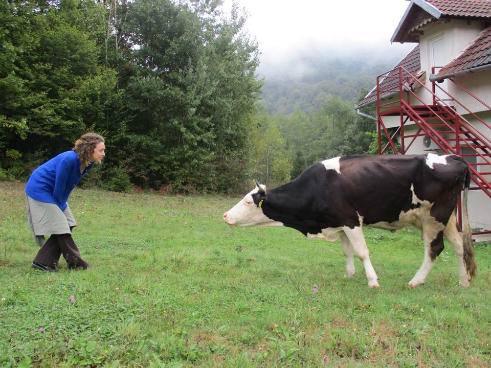 Anika vs Cow - Romanian Monastery - Miss Maps