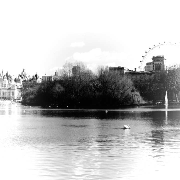London Eye, Palace, and Swans. So classic- London, England, United Kingdom - by Anika Mikkelson - Miss Maps