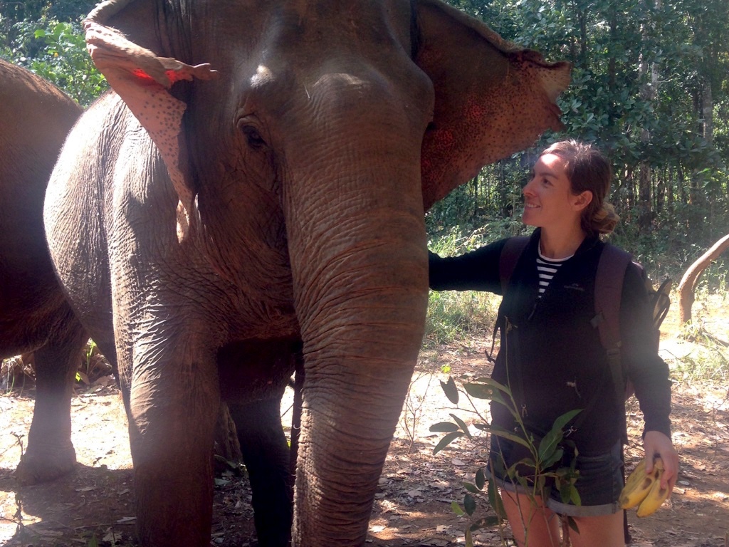 Visiting The Elephant Sanctuary in Mondulkiri Cambodia - photo by Bianca Caruana - MissMaps.com Featured Female Traveler