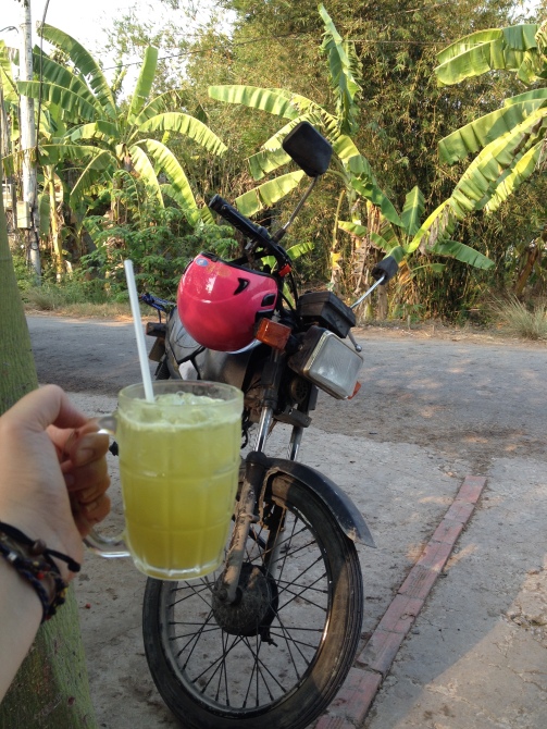 Freshly squeezed sugar cane juice in southern Vietnam - Photo provided by Lottie Reeves - MissMaps.com Featured Female Traveler