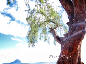 Trees and Clouds by the Sea - Mauritius - by Anika Mikkelson - Miss Maps - www.MissMaps.com